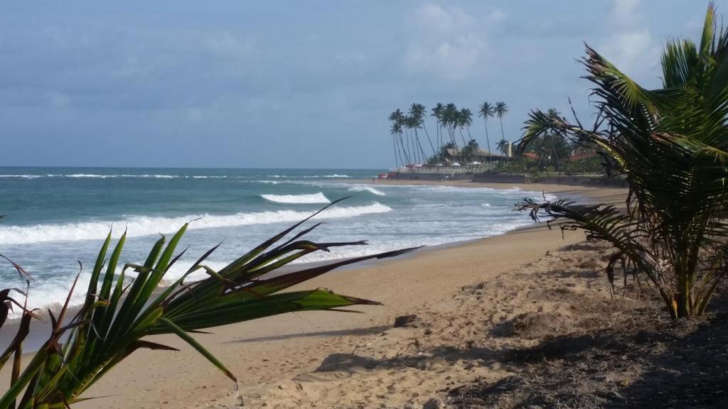 Flat Muro Alto Beach Class Ecolife Порту-де-Галиньяш Экстерьер фото